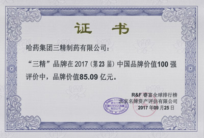 2017年三精品牌價值證書